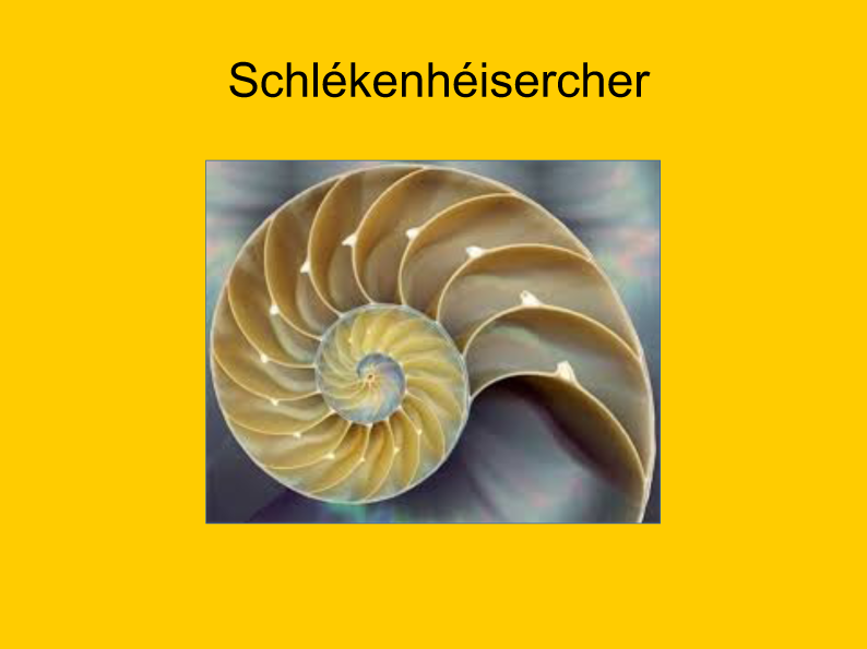 Fibonacci 26